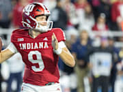 更是为葡萄 更是为葡萄