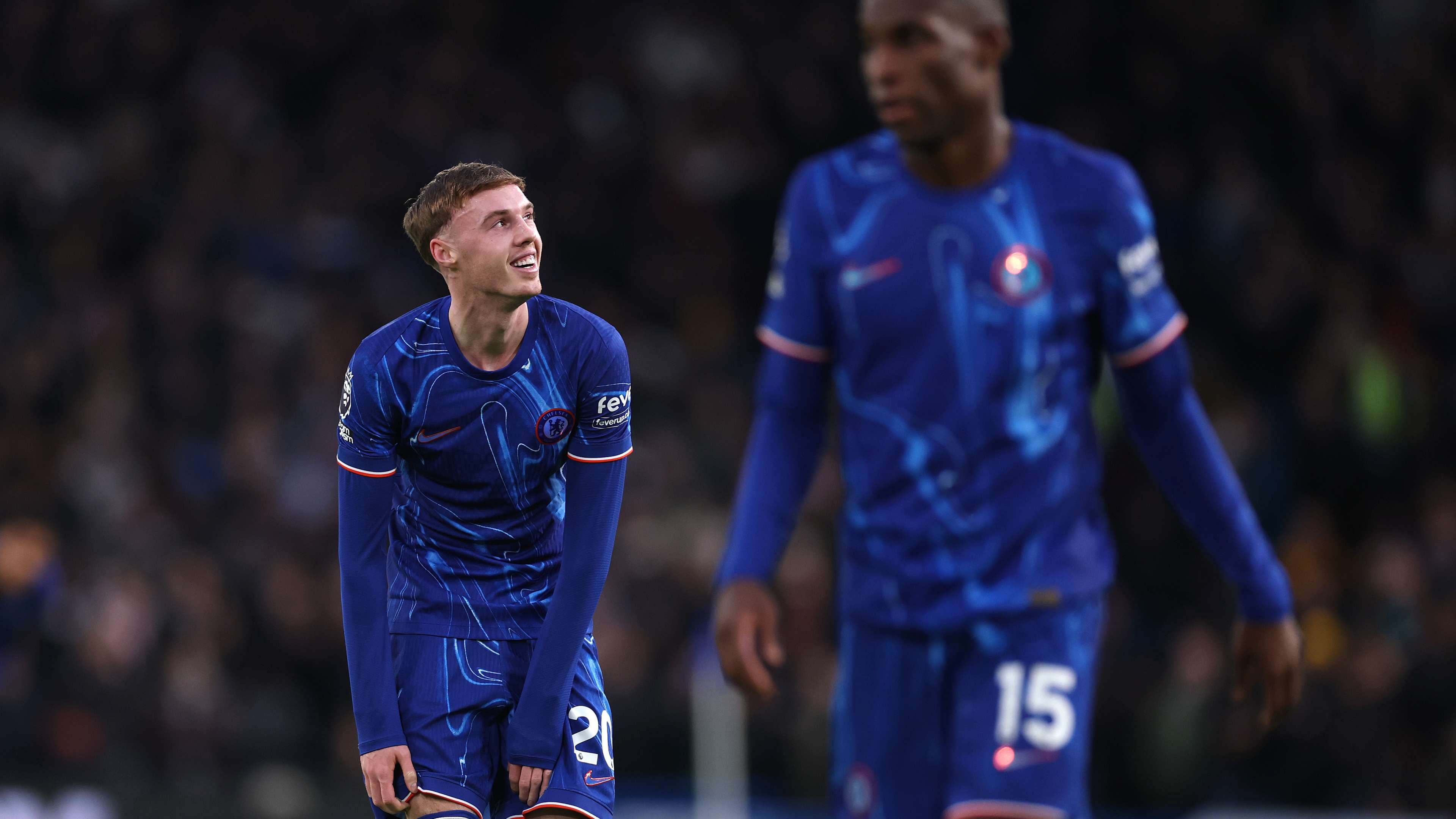 新球员的加 新球员的加