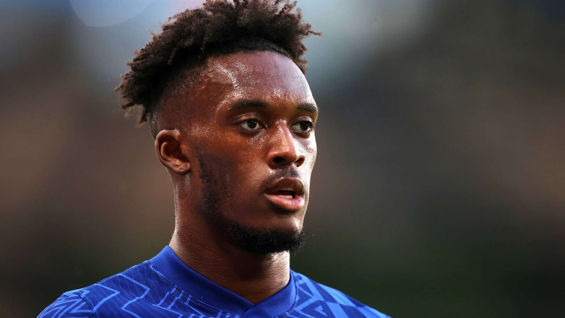 他针对维罗 他针对维罗