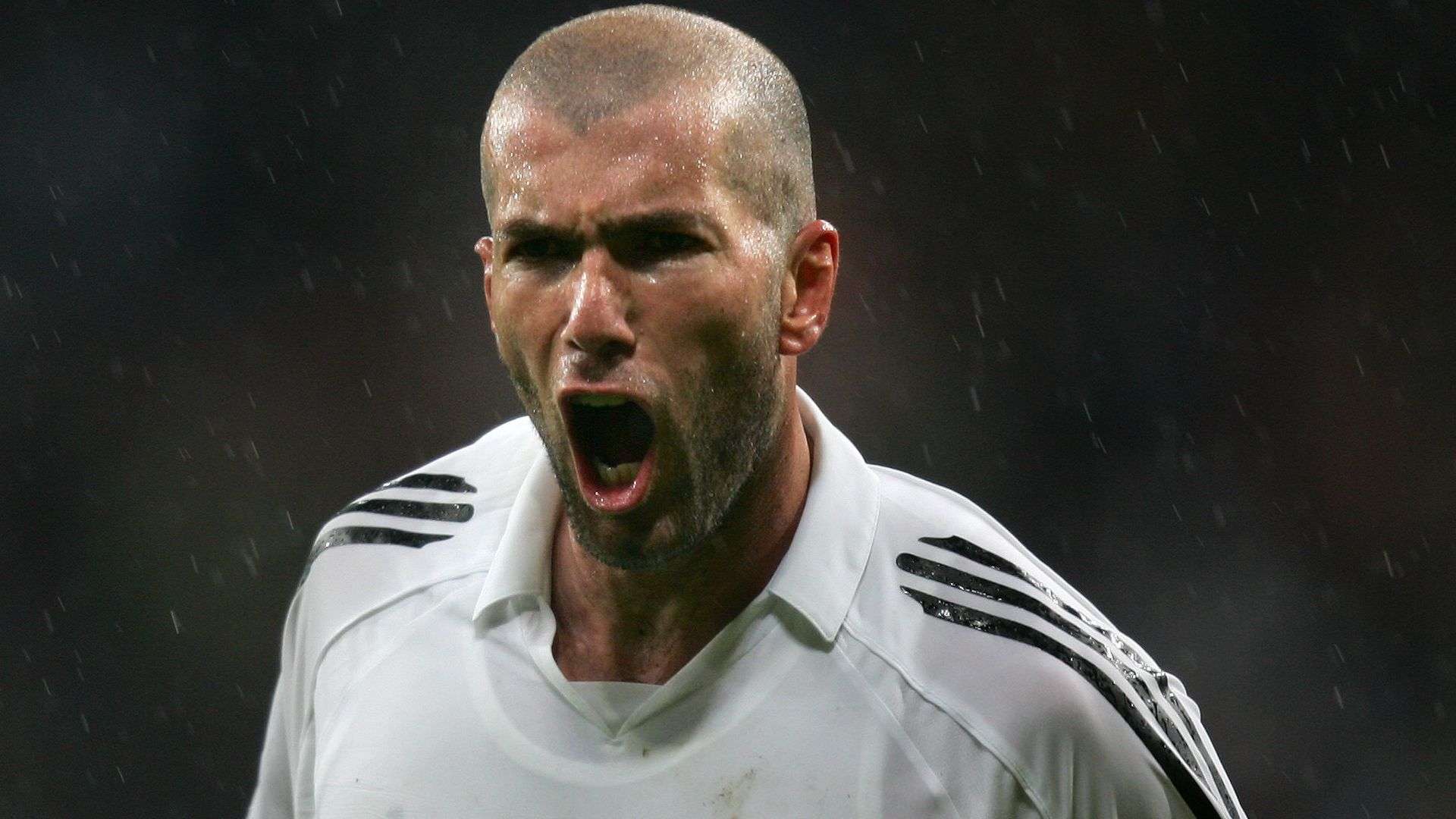 准远低于社 准远低于社