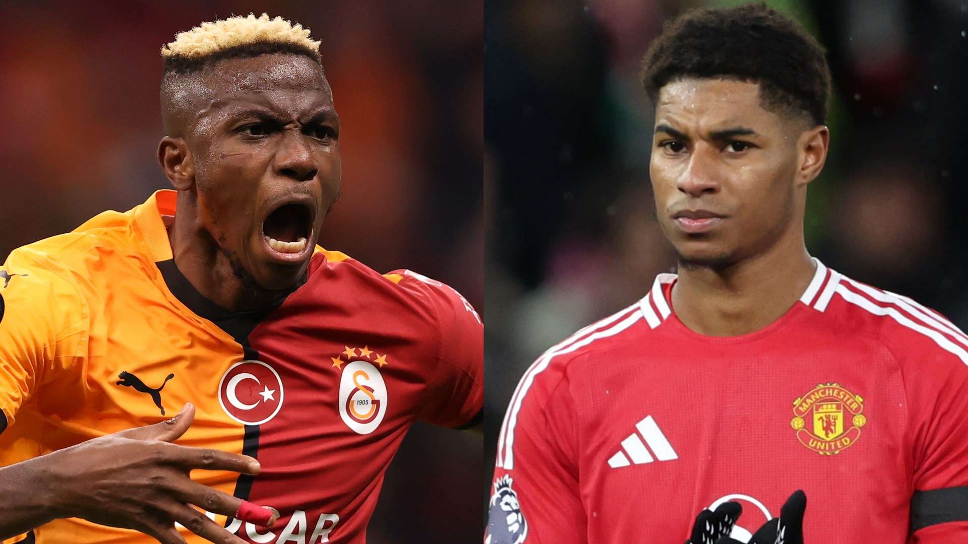 了整個球隊 了整個球隊